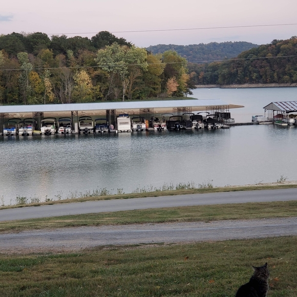 Sharing Items Bought for the Woman I'm Growing Into Becoming - Picture 3 of 5